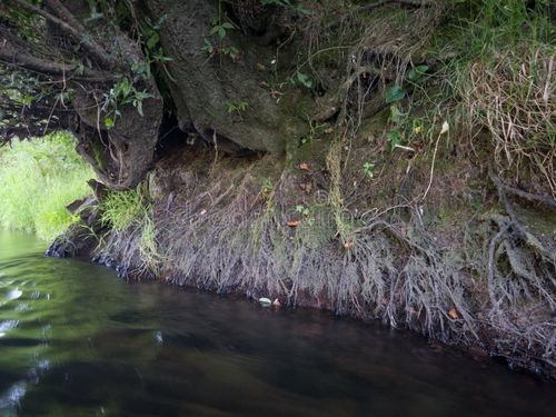 Cina berita terbaru tentang Partikel Tergantung dari Erosi Sungai: Memahami Dampaknya pada Kualitas Udara dan Kebutuhan Pembersih Udara